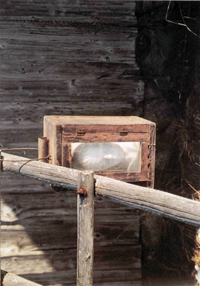 IEVA.PNG (122727 bytes)