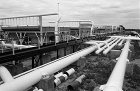 GAZE.PNG (42090 bytes)