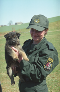 KOLEDZA02.PNG (114989 bytes)