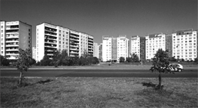 FAZENDA.PNG (46620 bytes)