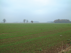 ZEGALELIDZENUMS.PNG (99365 bytes)