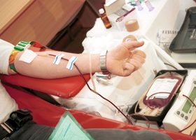 DONORI.PNG (113334 bytes)