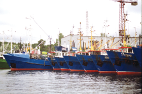 ZVEJAS KUGI.PNG (89002 bytes)