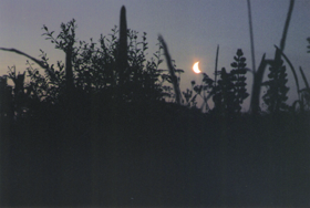 JANI01.PNG (82645 bytes)