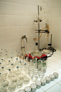 KIMIJA.PNG (125594 bytes)