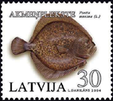 ZIVS1.PNG (45410 bytes)