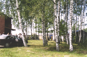 SKEL02.PNG (132868 bytes)