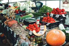 TIRGUS.PNG (126940 bytes)