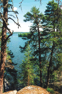 SOMIJA2001.PNG (154573 bytes)