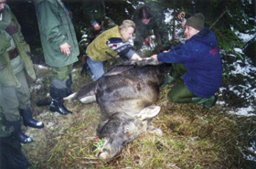 MALUM01.PNG (123840 bytes)