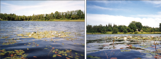 4.PNG (217998 bytes)