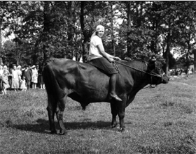 LOPS.PNG (57859 bytes)