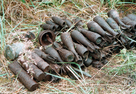 MUNICIJA2.PNG (147554 bytes)