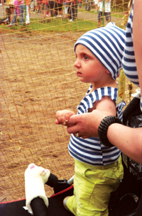 03LB.PNG (146660 bytes)