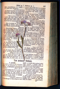 HRONIKA02.PNG (138894 bytes)