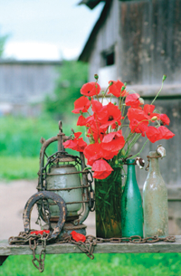 MAGONES2.PNG (128165 bytes)