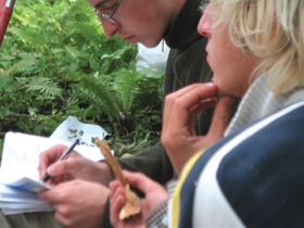 AICINAJUMS4.PNG (119553 bytes)