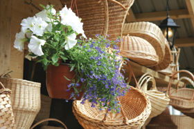 RIGASSVET.PNG (122683 bytes)