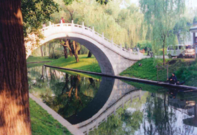 PEKINA001.PNG (123152 bytes)