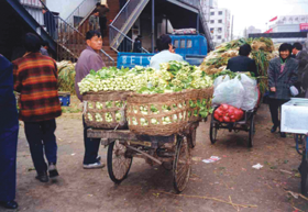 PEKINA002.PNG (117215 bytes)