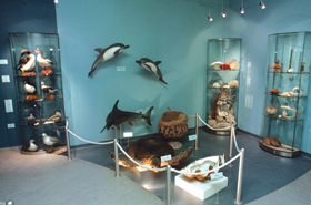 DABA.PNG (100996 bytes)