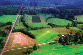 LAUKI.PNG (120333 bytes)