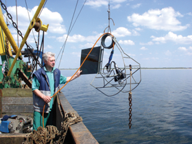 ZIVIS-4.PNG (126060 bytes)