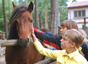 ZOO.PNG (117477 bytes)