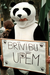 BRIVIBA.PNG (118487 bytes)