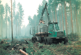 MEZS.PNG (113888 bytes)