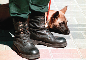 SUNS1.PNG (113963 bytes)