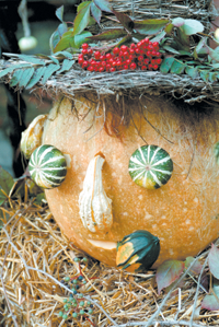 KIRBIS.PNG (156168 bytes)