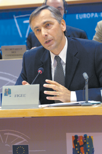 FIGELS1.PNG (114581 bytes)