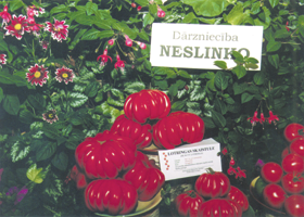 TOMATO.PNG (123409 bytes)