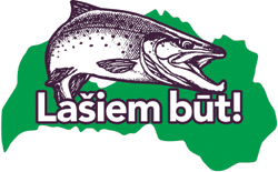 LASIS.PNG (47381 bytes)