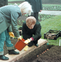 TULPES1.PNG (94335 bytes)