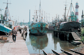 ZVEJA1.PNG (107678 bytes)