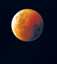 MENESS.PNG (58942 bytes)