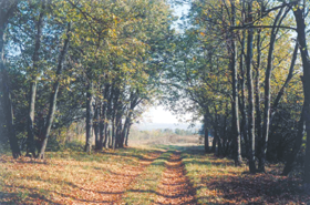 BARONS003.PNG (127828 bytes)