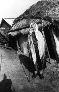 BARONS.PNG (55820 bytes)