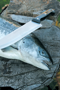 LASIS.PNG (136270 bytes)