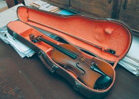 VIJOLE.PNG (118914 bytes)