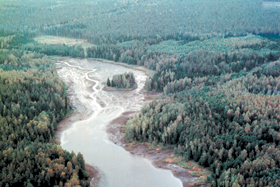 MEZS.PNG (120782 bytes)