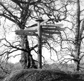 TAUTASDZIESMA001.PNG (74602 bytes)