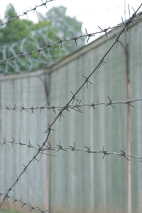 DRATSMK.PNG (99106 bytes)