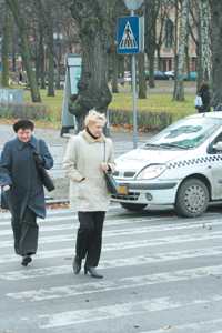 ZEBRA.PNG (130972 bytes)