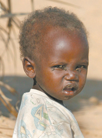 BERNS.PNG (102773 bytes)