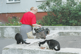 KAKIMK.PNG (111013 bytes)