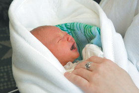 MAZAIS.PNG (83583 bytes)