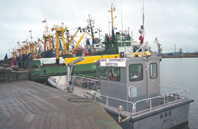 MENCA.PNG (104392 bytes)